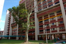 Blk 250 Bangkit Road (Bukit Panjang), HDB 4 Rooms #218432